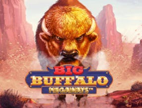 game logo by Skywind Group on wintinoo.at