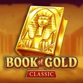 game logo by Playson on wintinoo.at